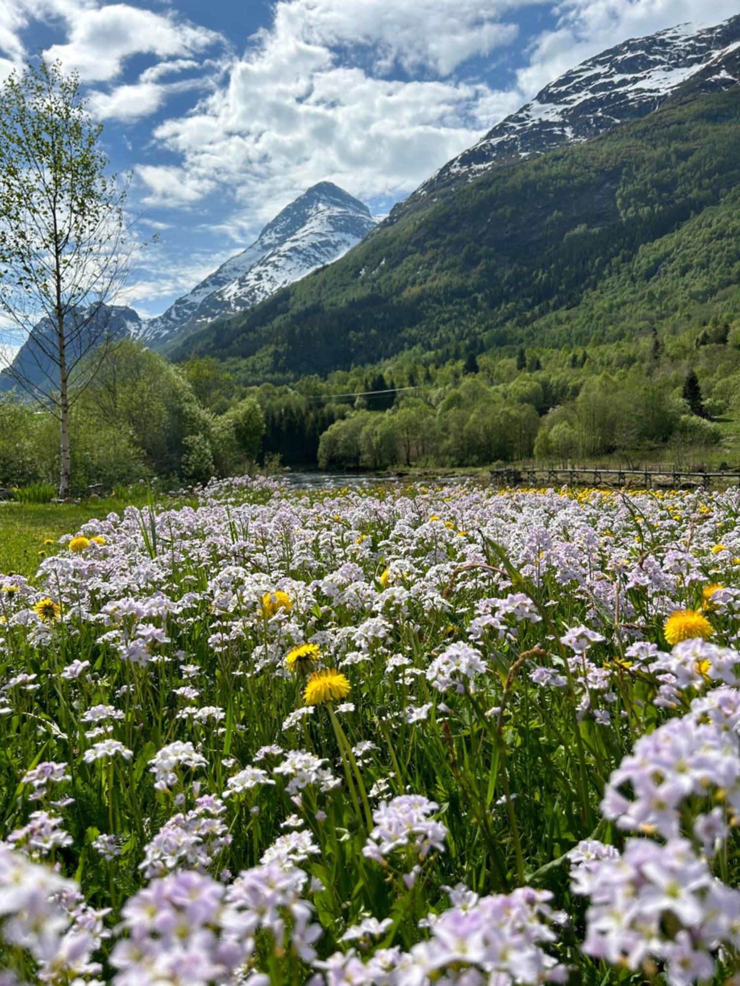 Naustvoll Villa Olden Eksteriør bilde
